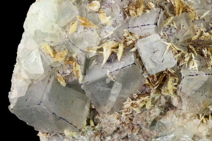 Purple Border Fluorite Crystals with Barite - Qinglong Mine #146995